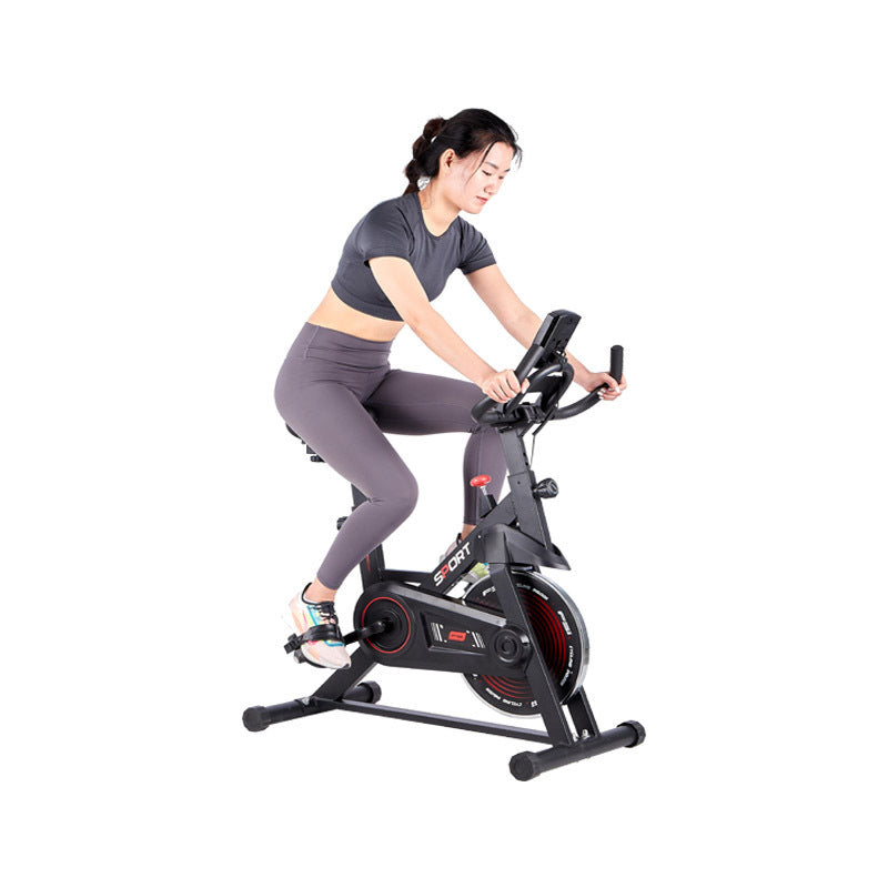 Indoor Silent Exercise Bike 