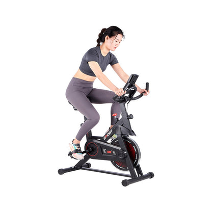 Indoor Silent Exercise Bike 